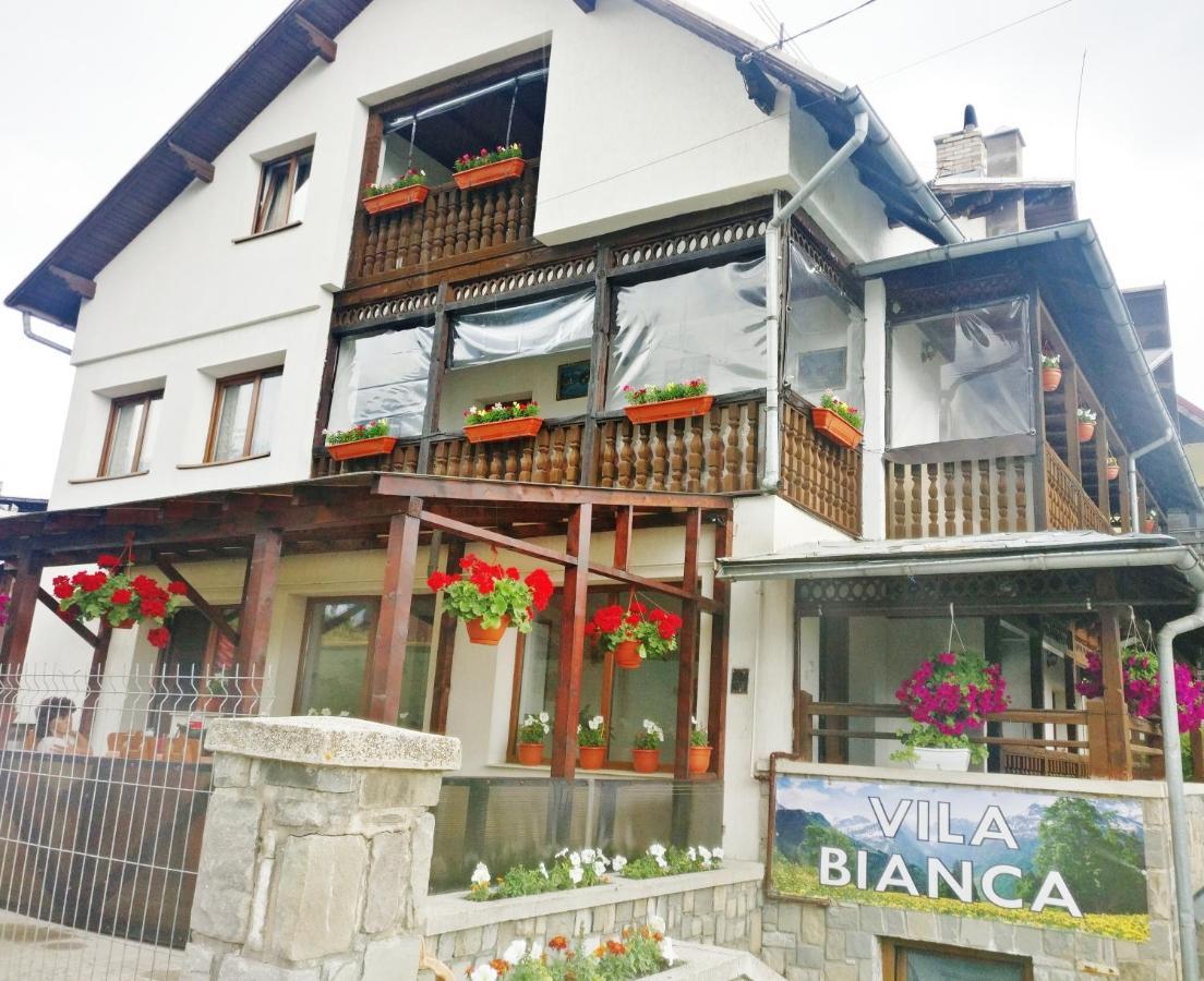 Hotel Bianca House Buşteni Exterior foto